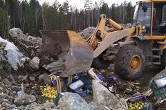 Россельхознадзор уничтожил 3 тонны фруктов, незаконно ввезенных в Екатеринбург