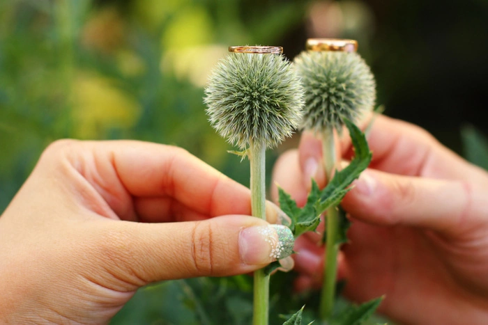Госдума рассмотрит законопроект о запрете браков между трансгендерами
