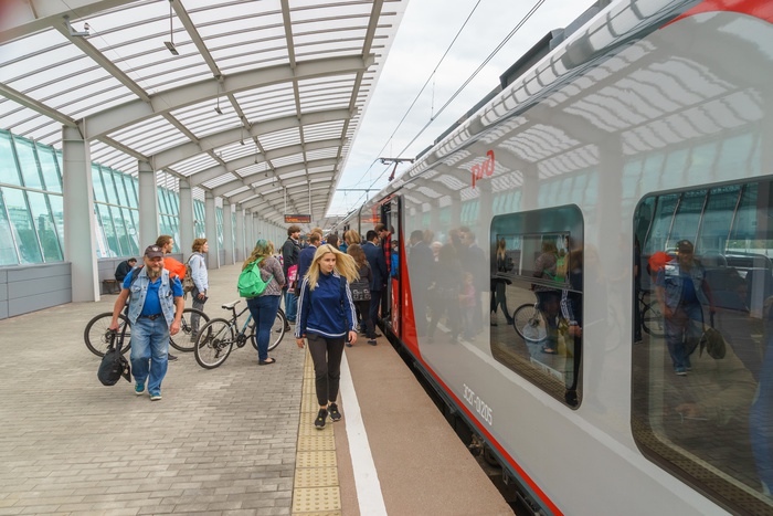 В поезде «Москва-Ницца» в Австрии на ходу отвалилась дверь