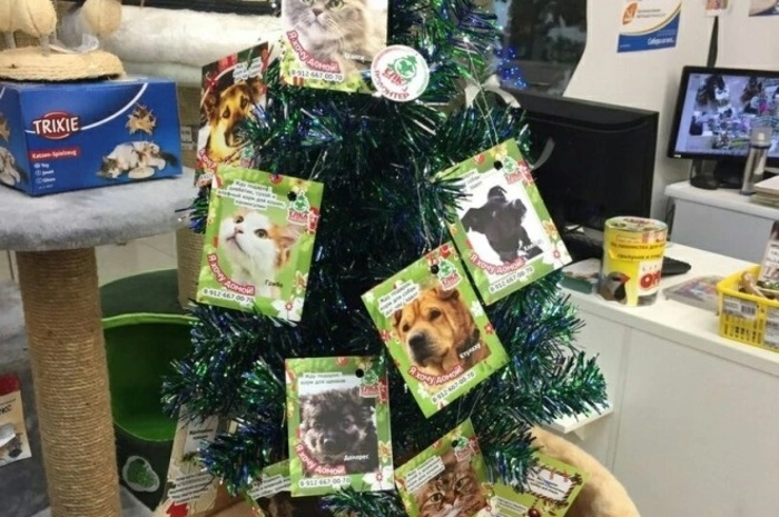 Студенты УрГАУ собрали полторы тысячи подарков для бездомных животных