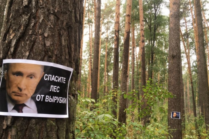 Свердловчане разместили фото Путина в лесу, чтобы спасти его от вырубки, 2  сентября 2022 года