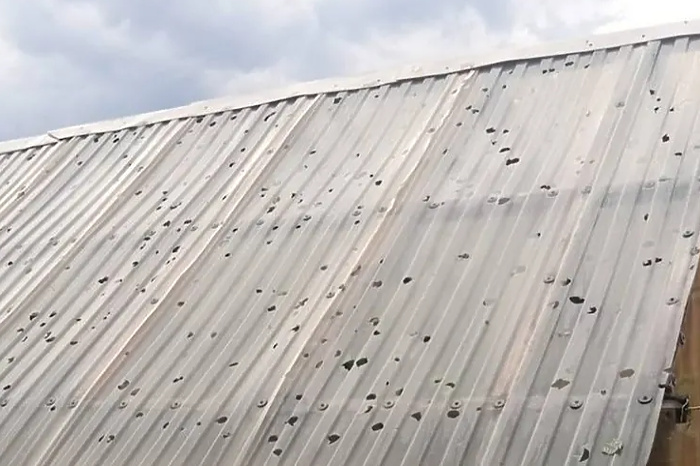 В Свердловской области огромные градины изрешетили теплицы садоводов