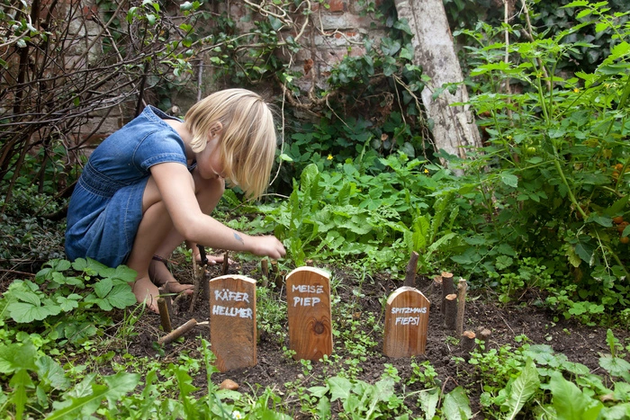 На кладбище Нижнего Тагила обнаружены могилы животных