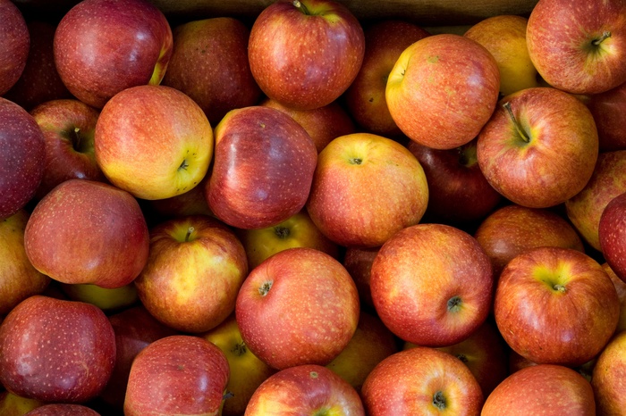Из-за санкций в Екатеринбург ввозят в 20 раз меньше яблок и никакого сыра