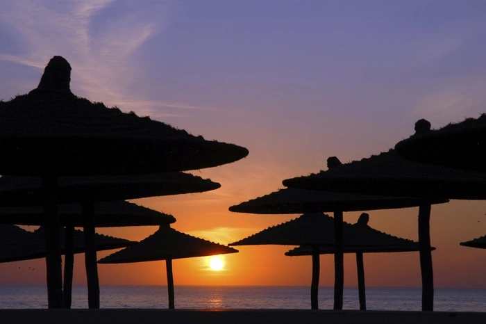 Тюлений отдых. Куда ехать любителям «все включено»