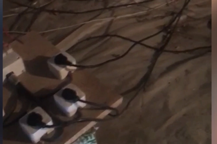 В Сысерти накрыли подпольную майнинговую ферму