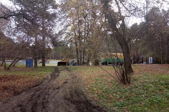 Урбанист: Строители в Зеленой Роще уже начали портить стволы деревьев