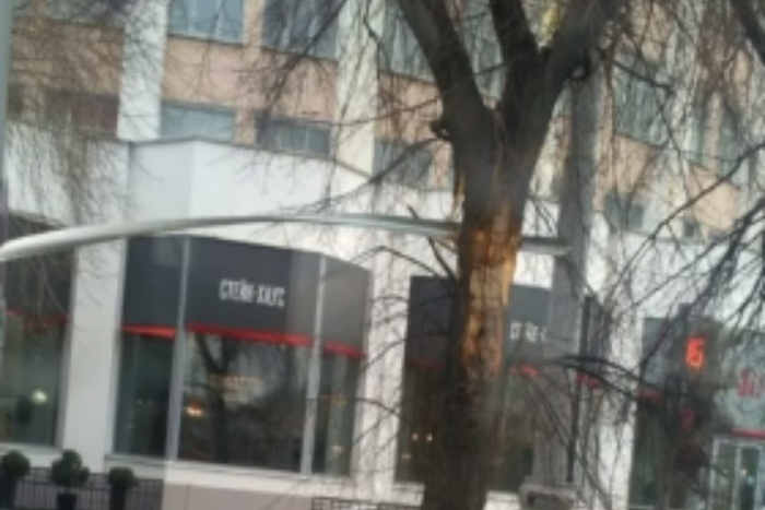 В центре Екатеринбурга металлическая пластина насквозь пробила дерево