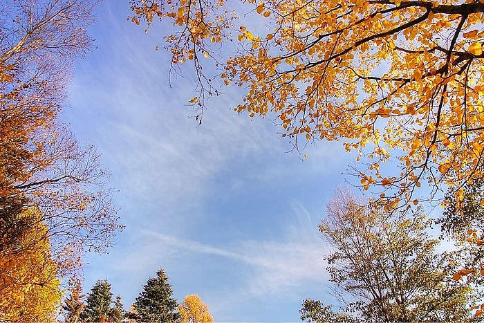 Бабье лето в Екатеринбург придет, но не одно