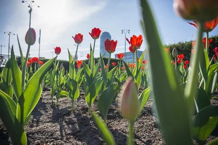 Путин подписал указ о праздновании 300-летия Екатеринбурга