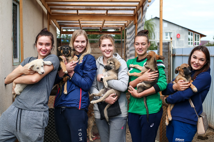 Волейболистки «Уралочки» побывали в приюте для бездомных собак