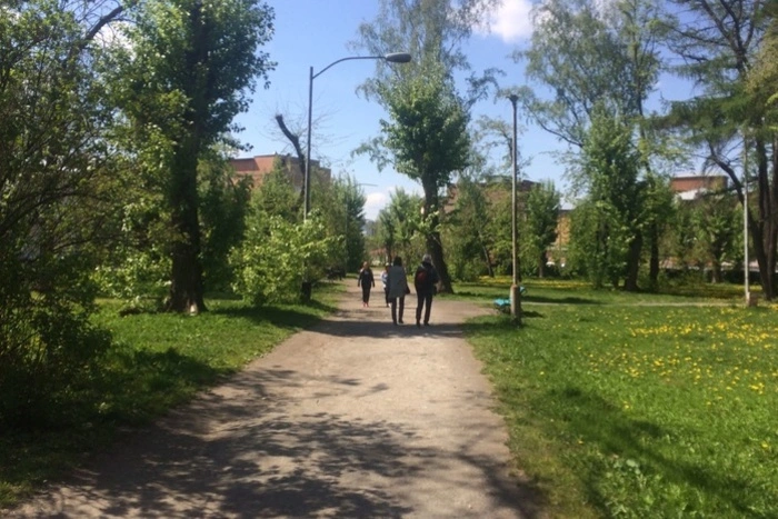 «Сквер»: программа мероприятий