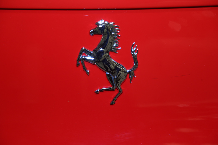 Полицейские уточнили данные о «бриллиантовом мальчике» на Ferrari
