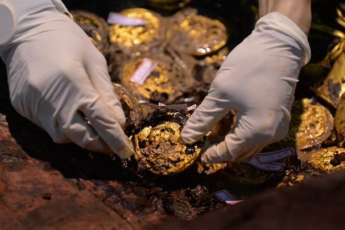 В Китае нашли несметные сокровища из старинной легенды