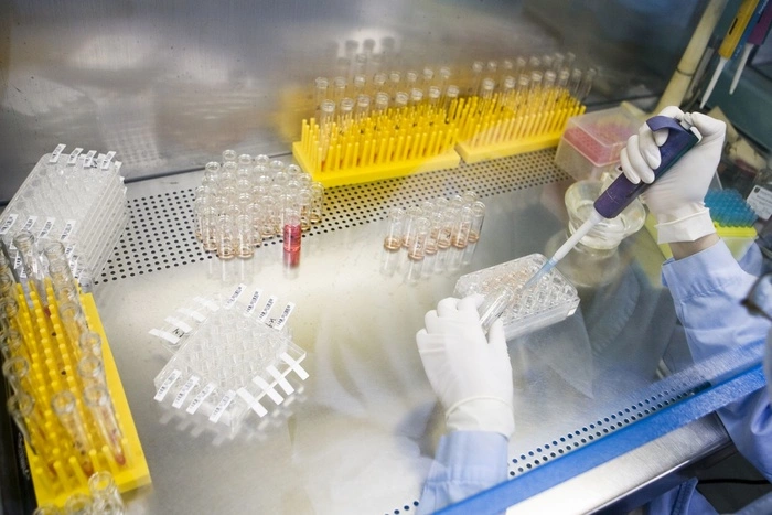 Российские ученые разработали лекарство против гепатита В