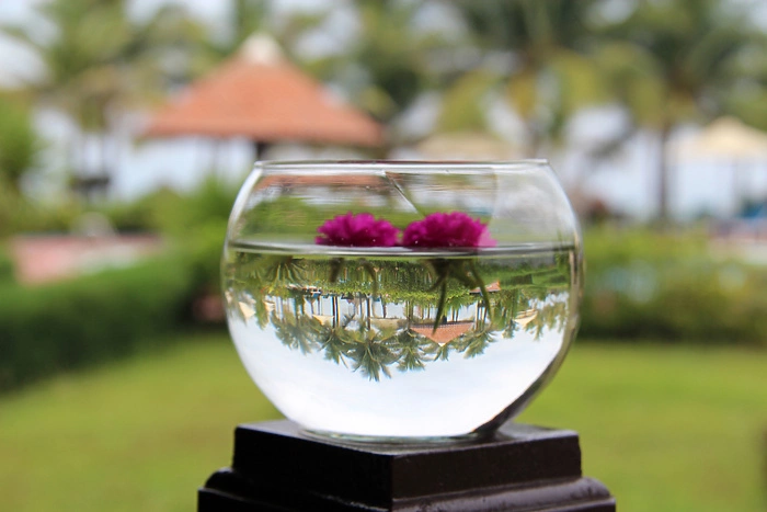 Из Екатеринбурга возобновляются прямые рейсы на Фукуок