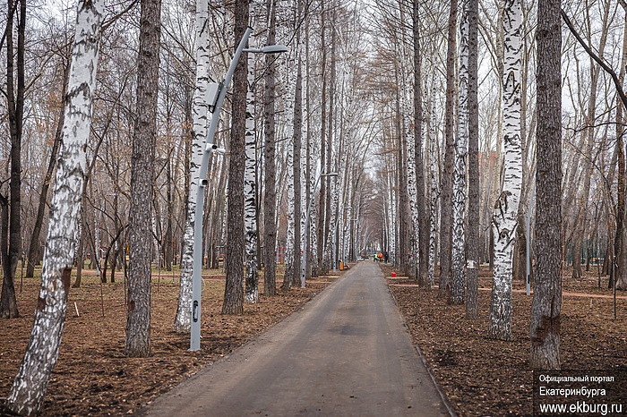 Мэру Екатеринбурга показали, как проходит благоустройство парка, за который голосовали жители