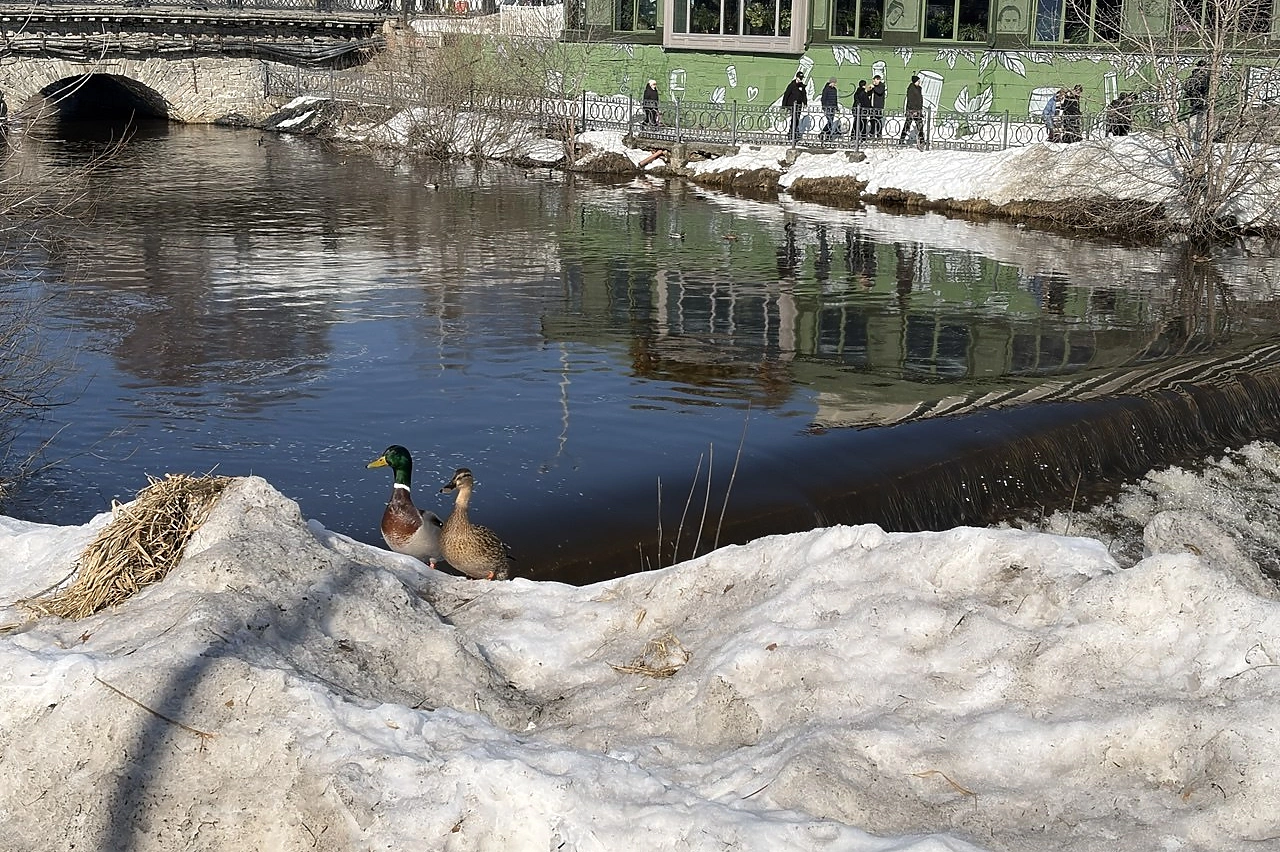 Климат меняется быстрее, чем ожидали: Свердловская область теряет воду