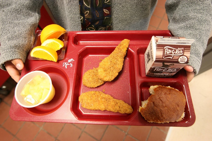 Поставщиков продуктов для школьного питания ждет тотальная проверка