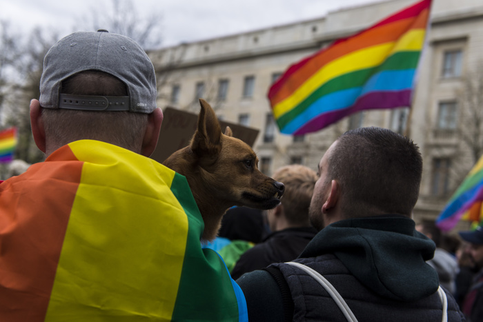 Прокуратура начала проверку после сообщений о похищении геев в Чечне