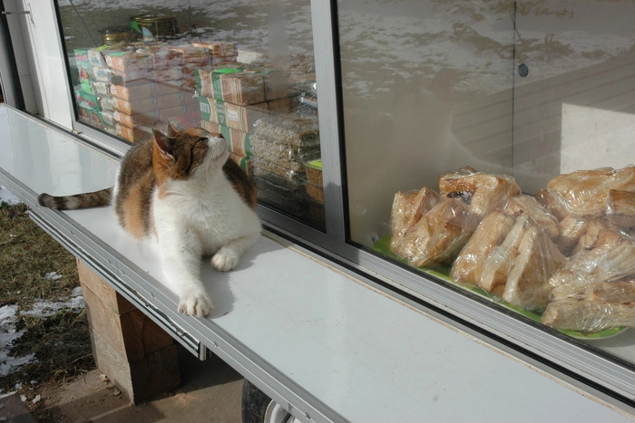 Рост цен в Свердловской области за 11 месяцев составил 13,5%