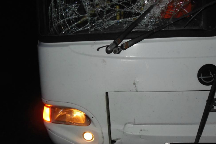 Автобус насмерть сбил мужчину на автодороге Екатеринбург-Реж-Алапаевск
