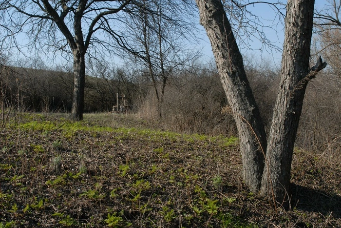 Земли колхоза «Шиловское» распродадут в счет погашения долга Ильи Гаффнера