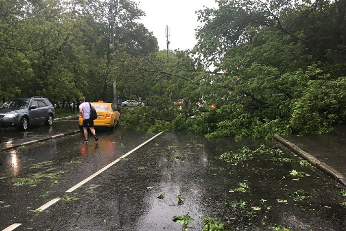 Синоптики вновь ожидают сильный ветер