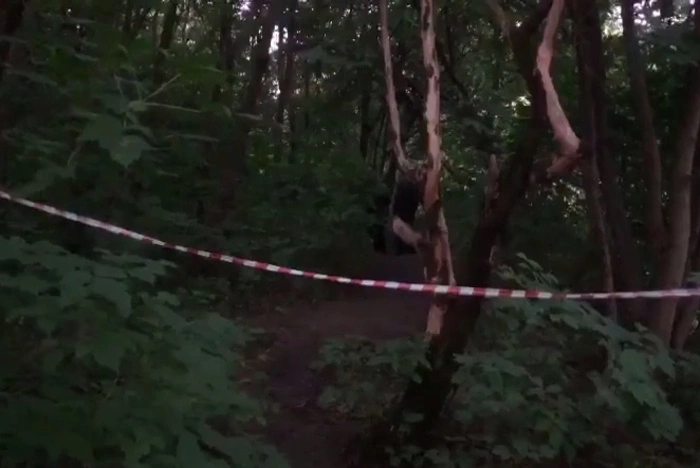 В Москве сверстник убил в безлюдном месте 11-летнего мальчика