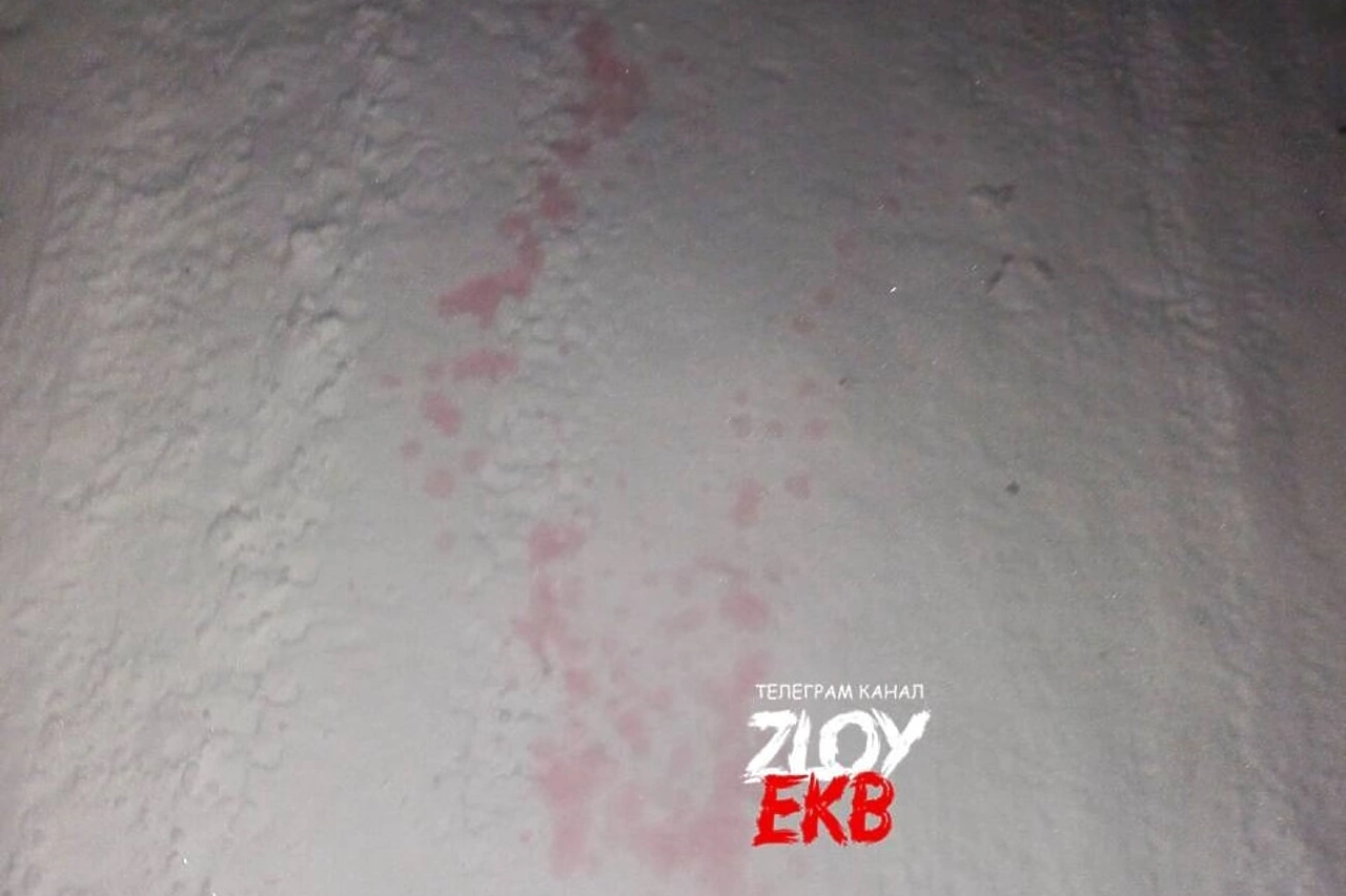 На ВИЗе заметили разлитую отраву на снегу