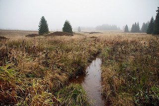 Владельцы торфяника, из-за которого задыхался Екатеринбург, заплатили штраф чуть больше 100 тысяч