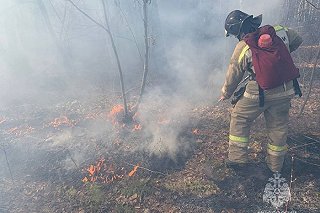 В Свердловской области отменили режим ЧС в лесах