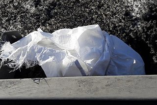 Ребенка, оставленного с пакетом на голове в лесопарке, отдали бабушке