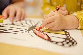 В Екатеринбурге с родителей детсадовцев собирают провода и линолеум для СВО