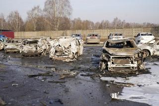 Житель Подмосковья сбил украинский БПЛА из охотничьего ружья