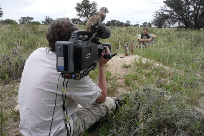 «Триколор ТВ» прекратит транслировать каналы сети Discovery
