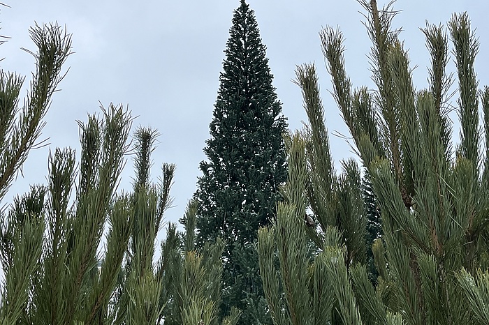 Стало известно, какие законы вступят в силу в декабре