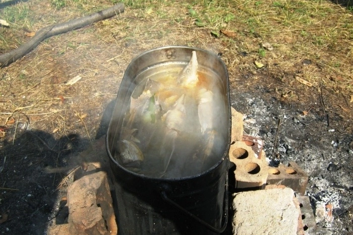 Активисты ОНФ из Тувы приготовили на камеру уху из краснокнижной рыбы