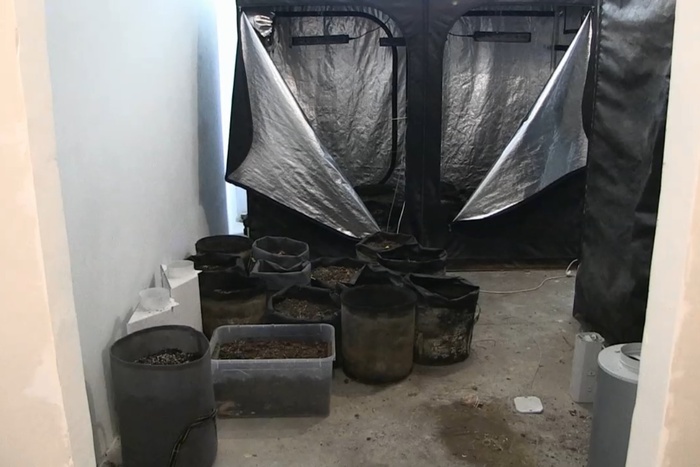 Засорил канализацию коноплёй: в Екатеринбурге полиция задержала мужчину с 16 килограммов наркотика