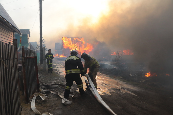 Женщина погибла во время крупного природного пожара в Курганской области