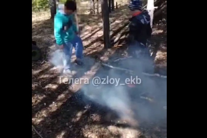 В Косулино застали детей за разведением костра в лесу