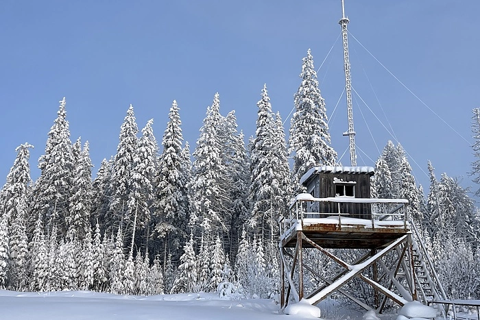 В Свердловской области снова похолодает до -33 градусов