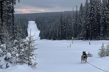 До -42 градусов похолодает в Свердловской области