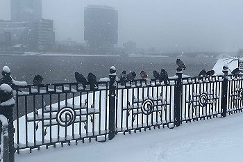 В Свердловской области похолодает до -29 градусов