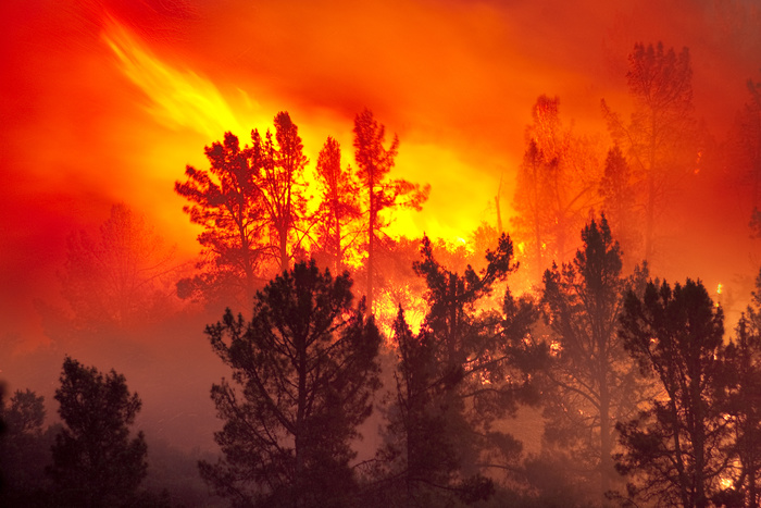 В калифорнийском пожаре пропали более тысячи человек
