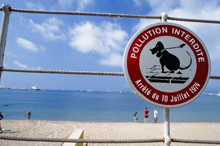 Британец передумал быть человеком и стал собакой