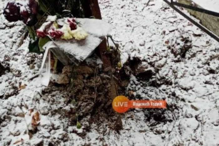 В Нижнем Тагиле медведь разрыл могилы на кладбище