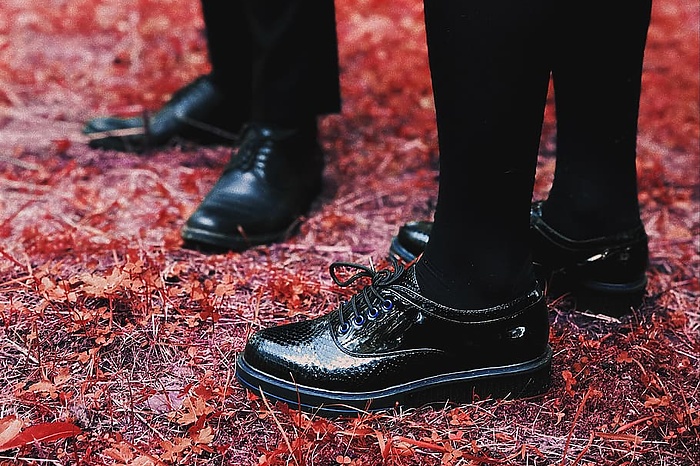 Из министерства агропромышленного комплекса уволили главного специалиста «в связи с утратой доверия»