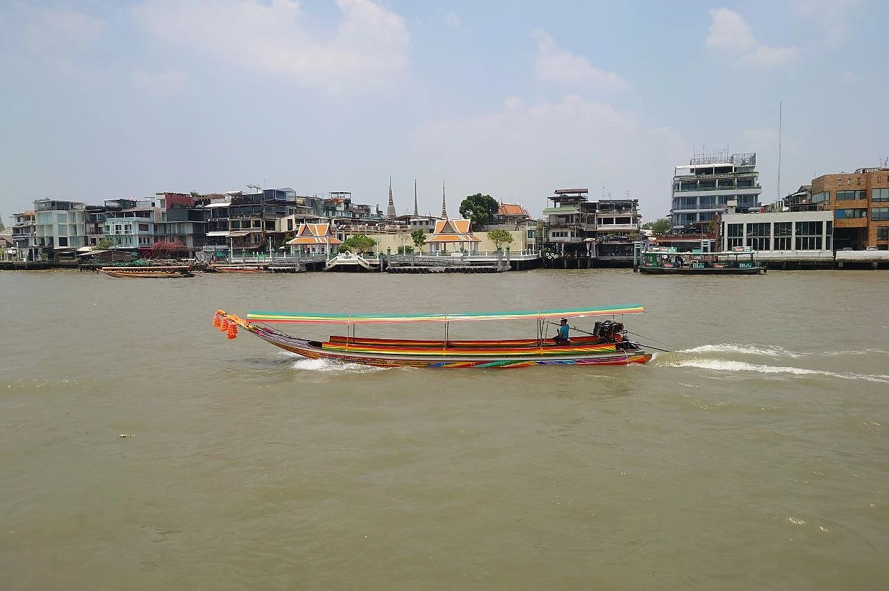 От чего необходимо привиться туристам, выезжающим в страны Юго-Восточной Азии и Африки