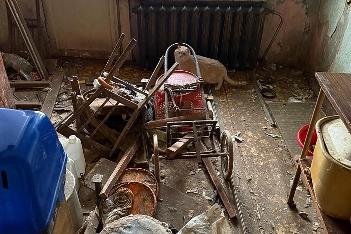 В Екатеринбурге управляющая компания изъяла у женщины кошек